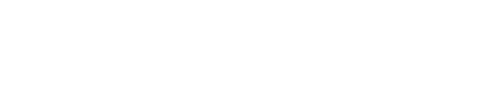 Van Veenendaal GWW